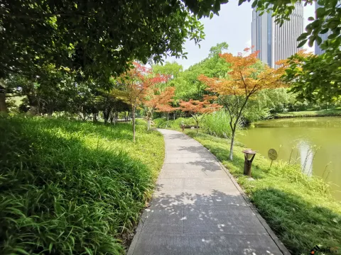 钱江新城森林公园