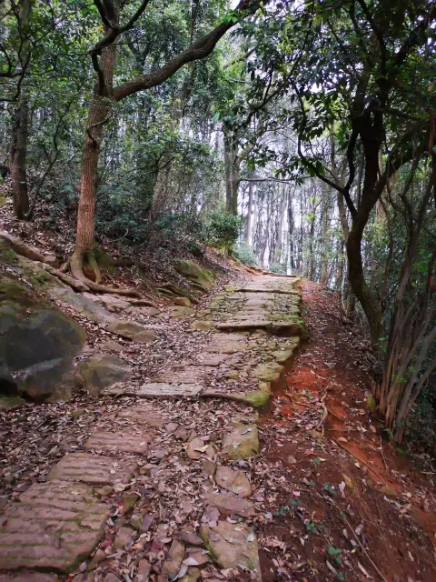 五云山15