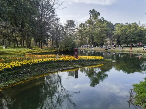 杭州太子湾公园4