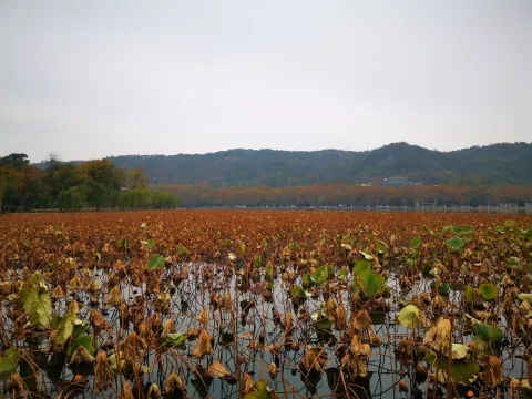 残荷