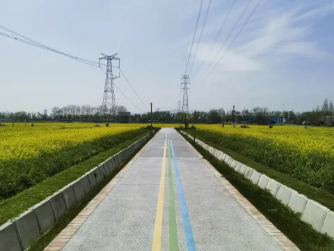 田园牧歌4