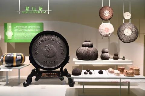 杭州中国茶叶博物馆10
