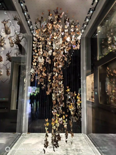 自然之美2