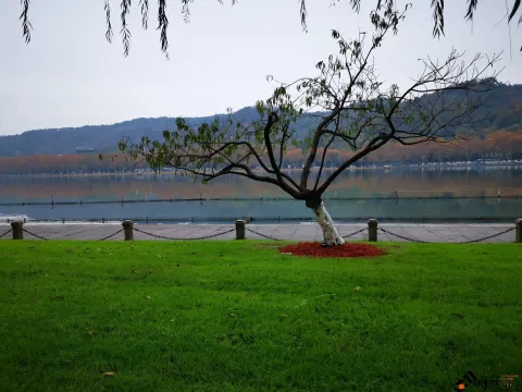 西湖，白堤