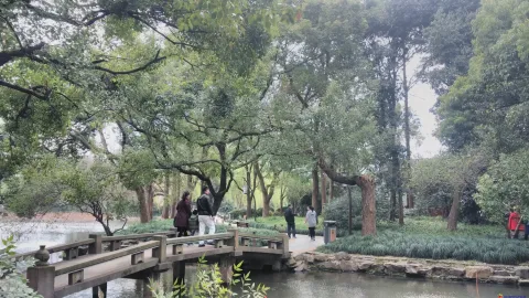 曲院风荷
