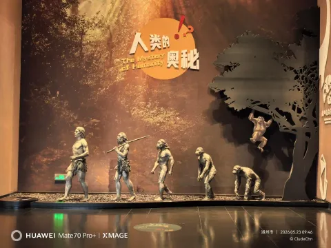 浙江自然博物院安吉馆2