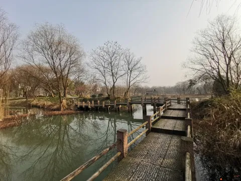 西溪国家湿地公园