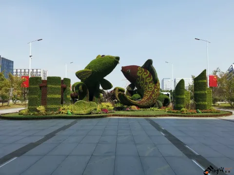 鱼儿嬉戏