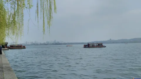 孤山中山公园前的游船
