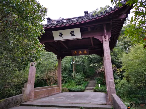 龙井路，龙井问茶，寻龙井古址
