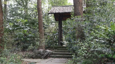 玉皇山1