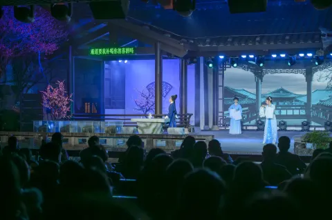 沈园之夜10