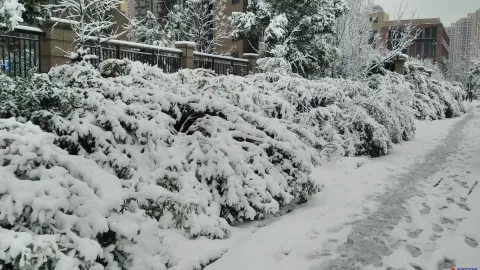 2018年的第一场雪