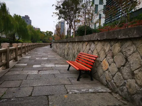 小河道景色