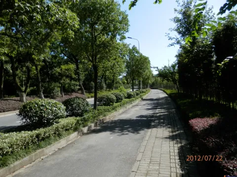 随手拍-良渚文化村