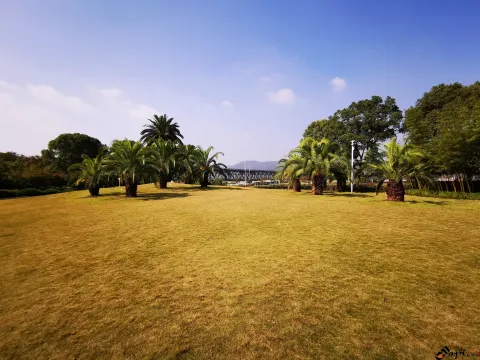 钱塘江大桥南岸的公园景色