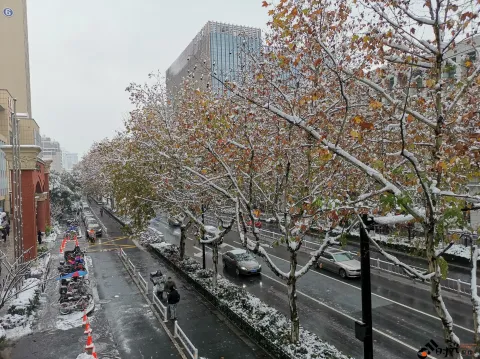 皑皑白雪挂满枝头