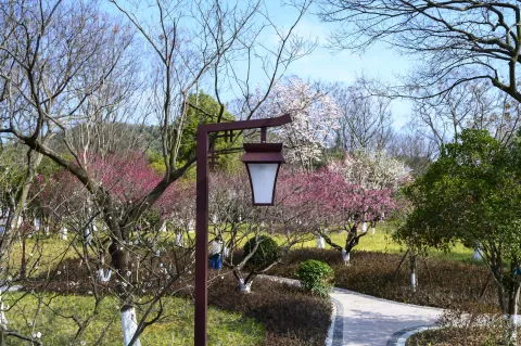 超山景区14