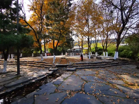 萧山北塘公园秋季的风景