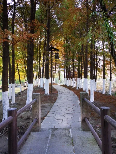 萧山北塘公园秋季的风景