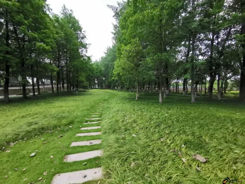 宁静而致远