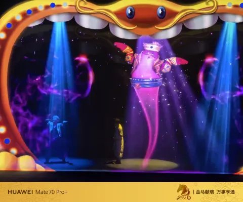 阿拉丁神灯表演10
