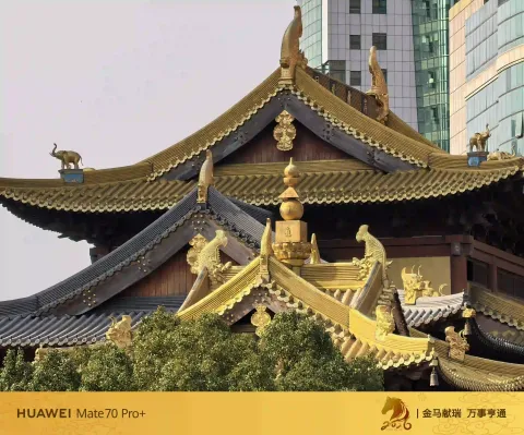 上海静安寺6