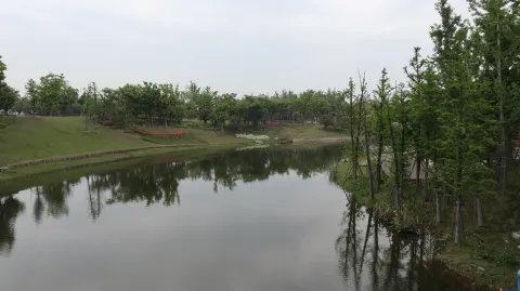 钱江世纪公园