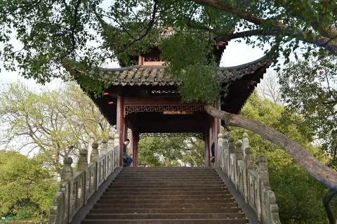 曲院风荷岳湖13