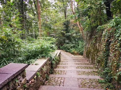 中国茶叶博物馆（龙井馆区）