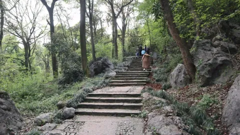 玉皇山3