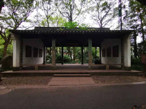 九溪路两侧的美景
