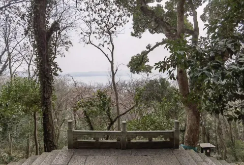 纯真年代4