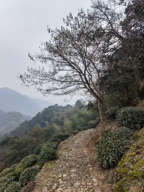 十里锒铛11