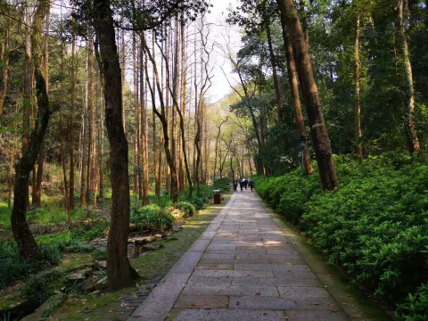 虎跑泉