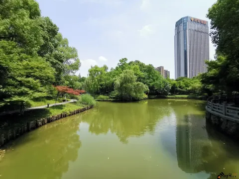 钱江新城森林公园