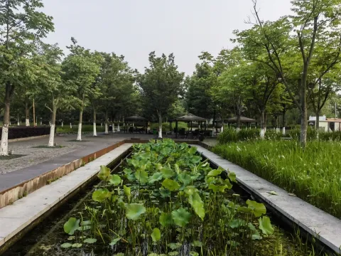 长田漾湿地公园5