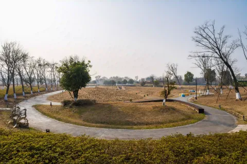 西山漾城市湿地公园8