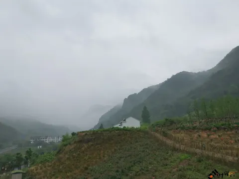 浦江茜溪悠谷