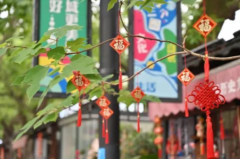桥西随拍4