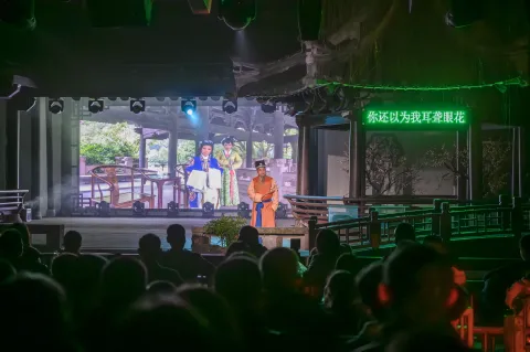 沈园之夜8