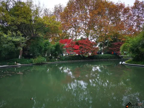 初冬，西湖湖滨的景色