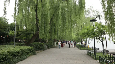西湖边游玩的人