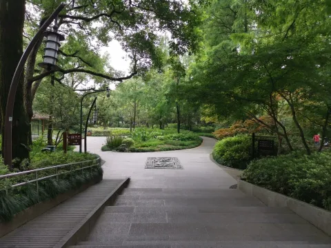 曲院风荷4