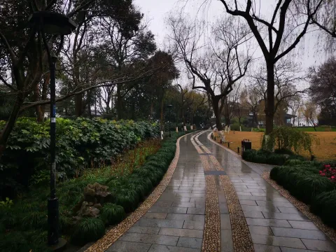 柳浪闻莺30