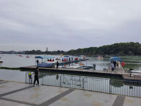 玄武湖5