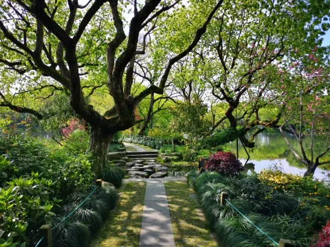 小瀛洲40