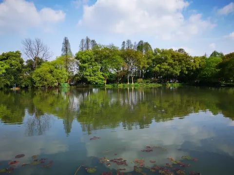 小瀛洲7