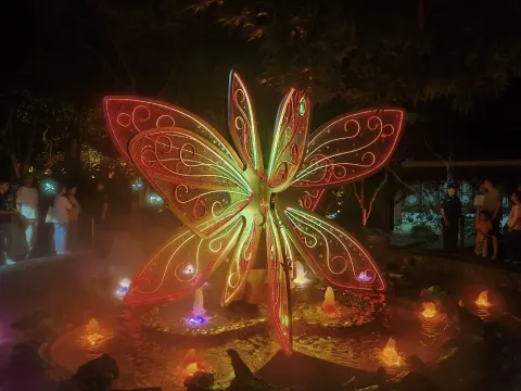 黄龙洞夜游5