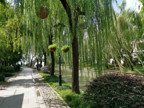 西湖美景